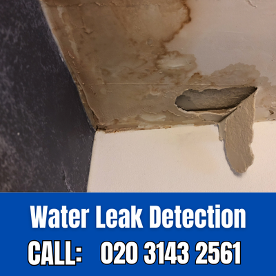 Expert Water Leak Detection Services in Cassiobury | Cassiobury Leak Detection